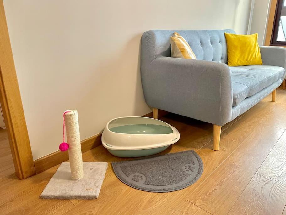 Apartament Estudio Centrico 2 Con Terraza Y Parking Privado
